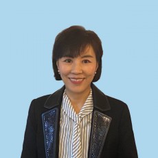 민선향